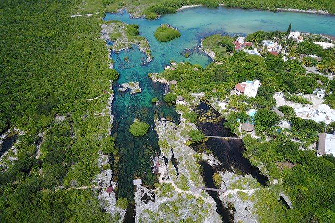 VIP Cenotes Private Tour - What the guides add to the day