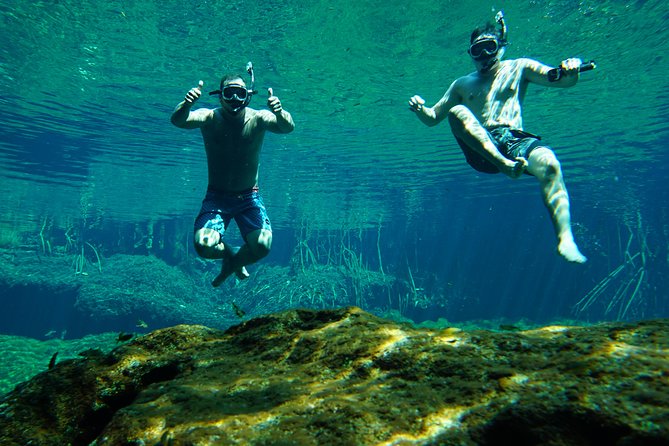 VIP Cenotes Private Tour - The $205 price, and who gets the best value