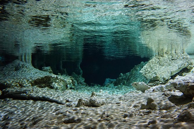 VIP Cenotes Private Tour - Family suitability and physical demands