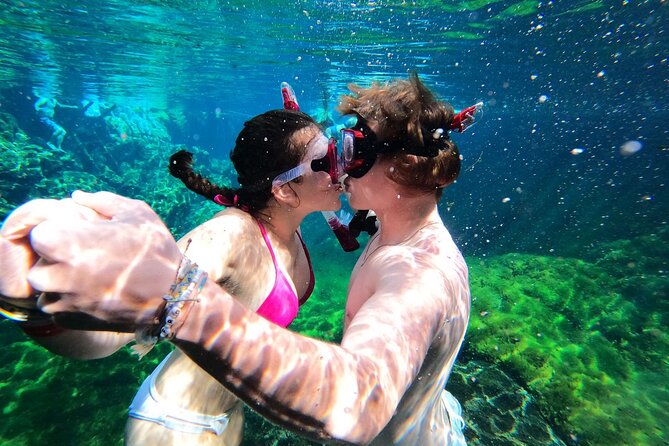 VIP Cenotes Private Tour (half-day) - Fresh ceviche at a local fisherman’s restaurant