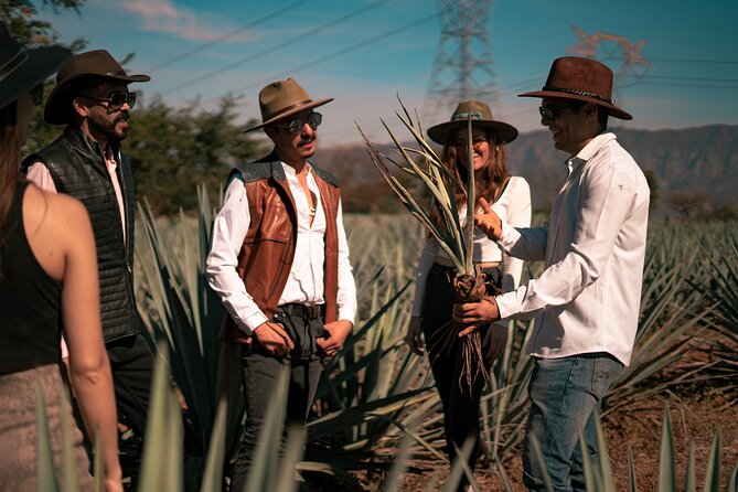 Vip Tequila Experience - Dinner in Tequila gives the day a proper pause