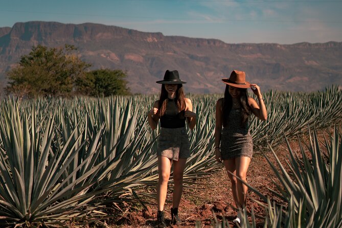 Vip Tequila Experience - Tequila town is more than a transfer point