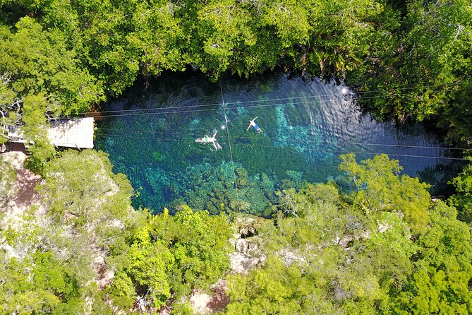 VIP Tulum & Turtles Private Tour - How the four-hour schedule really feels