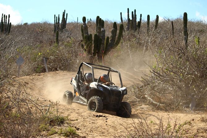 Viper Trail UTV Small-Group Experience in Cabo San Lucas - How the three-hour route unfolds