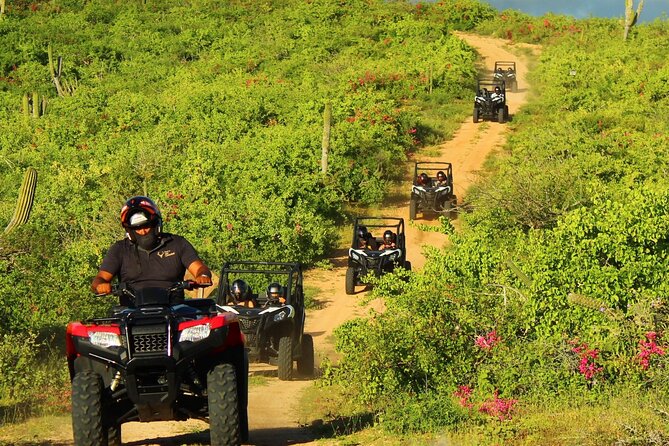 Viper Trail UTV Small-Group Experience in Cabo San Lucas - Dust, phones, photos, and the extra-cost questions