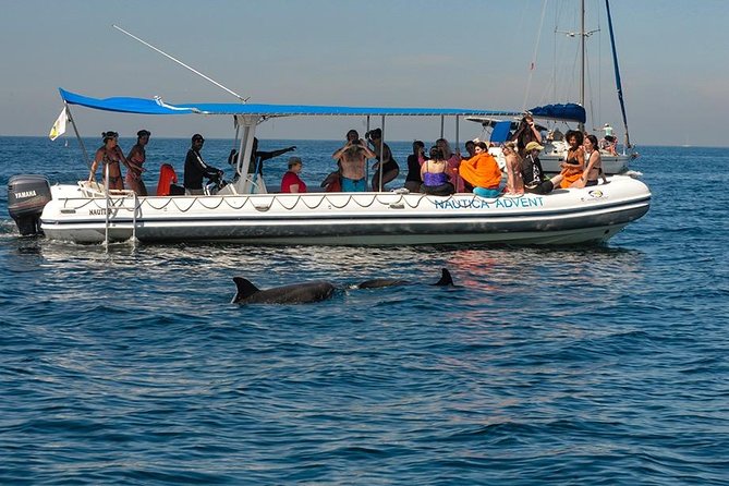 Whale and Dolphin Watching with a Biologist in Puerto Vallarta - Starting at Opequimar Marina