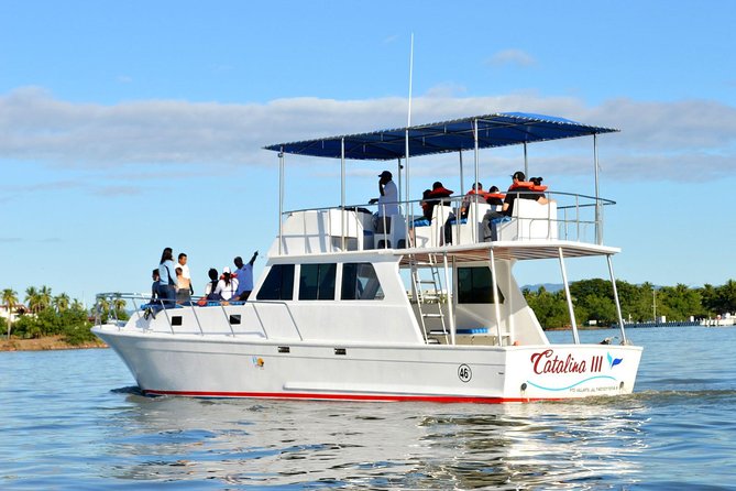 Whale & Dolphin Watching Cruise in Puerto Vallarta All Inclusive - Dolphins and the return along Puerto Vallarta