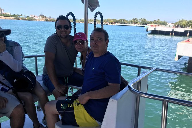 Whale & Dolphin Watching Cruise in Puerto Vallarta All Inclusive - Meeting at the naval area near the cruise port