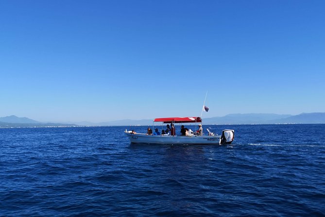 Whale Encounter Puerto Vallarta - Weather, cancellation, and practical limits