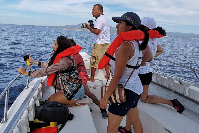 Whale Encounter Puerto Vallarta - Marine guides who add meaning to the sightings