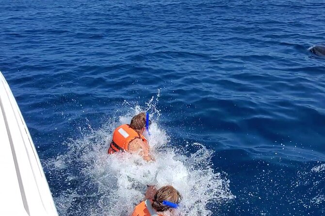 Whale Shark Adventure in Isla Mujeres and Cancun - Guides, safety, and the small-group advantage