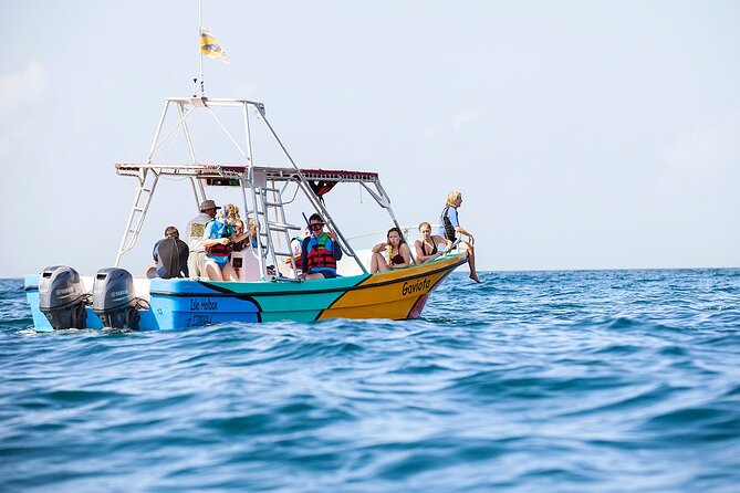 Whale Shark and Snorkeling Adventure from Isla Holbox - Who will enjoy this most