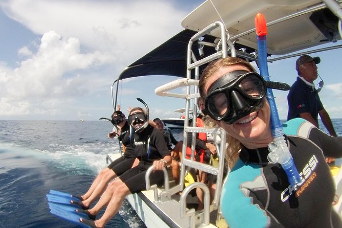 Whale shark encounter Private tour - swim with whale shark cancun - What the $975 price means