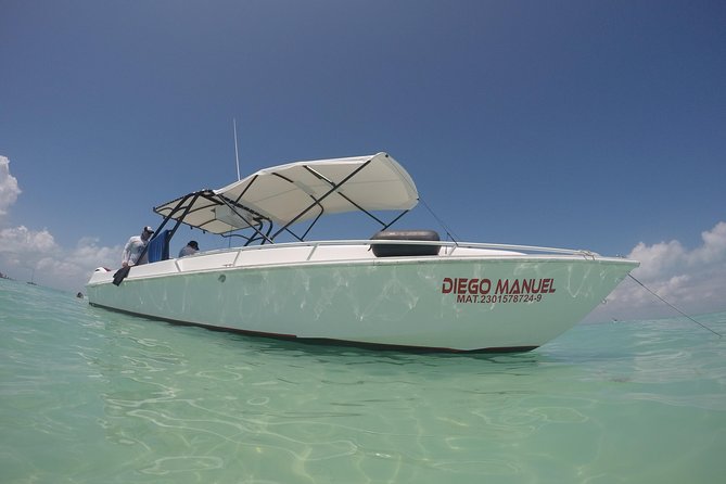Whale shark encounter Private tour - swim with whale shark cancun - Weather, cancellations, and wildlife uncertainty