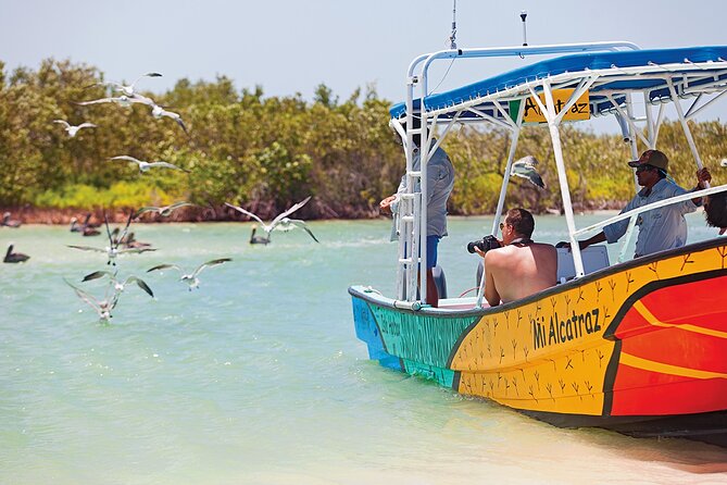 Whale Shark Group Adventure from Isla Holbox - Weather, season, and cancellation details