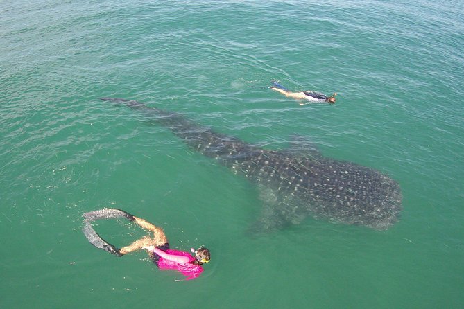 Whale-Shark Snorkeling Excursion to La Paz - The La Paz Malecon and the return toward Cabo