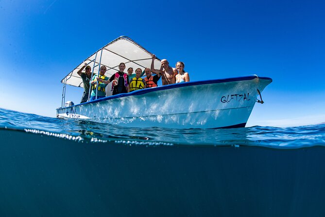 Whale Shark snorkeling tour in a reduced group with local marine biologist - Key points to know before booking