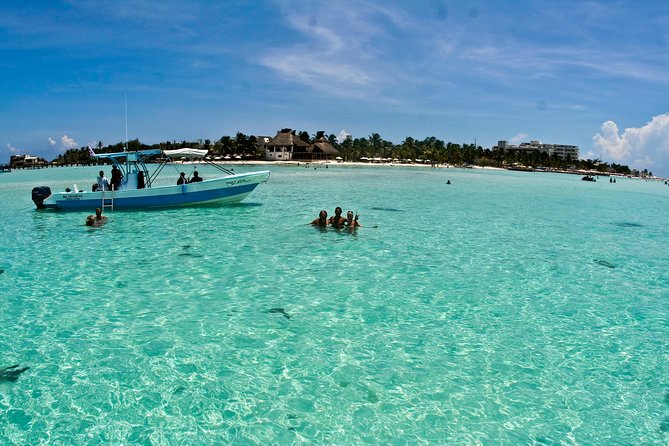 Whale Shark Tour from Cancun, Playa del Carmen, Tulum and Riviera Maya - Isla Contoy and the reef stop