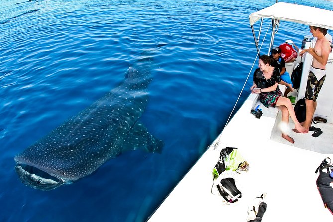 Whale Shark Tour from Cancun, Playa del Carmen, Tulum and Riviera Maya - Lunch in the warm water near Playa Norte