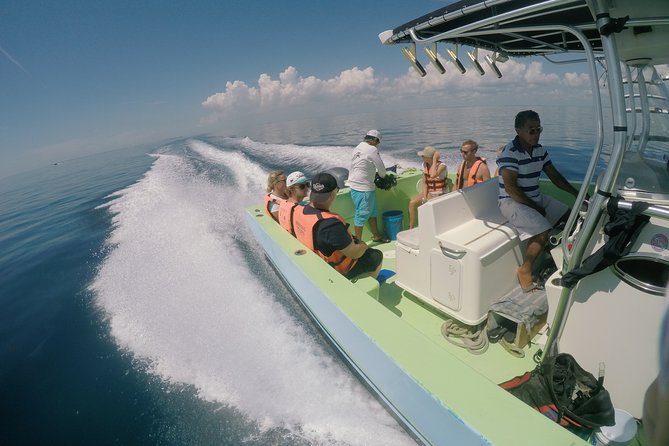 Whale Shark Tour from Cancun, Playa del Carmen, Tulum and Riviera Maya - Is $199 a fair price?