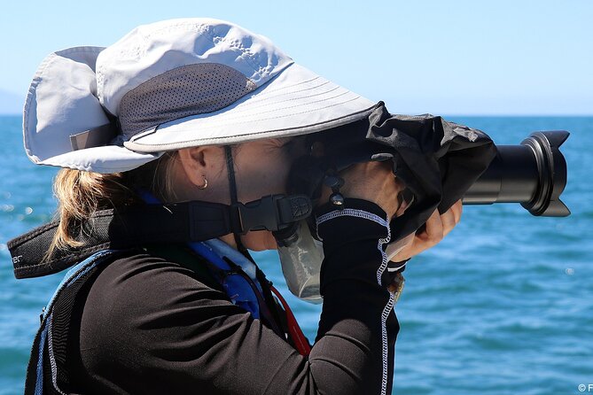 Whale Watching Adventure – Led by a Marine Biologist - Snacks, water, sun, and motion on the boat