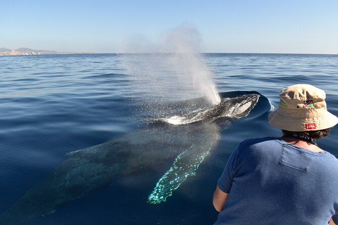 Whale Watching Cabo-Women crew-Sightings Guaranteed & Free Photos - Hearing whale songs through the hydrophone