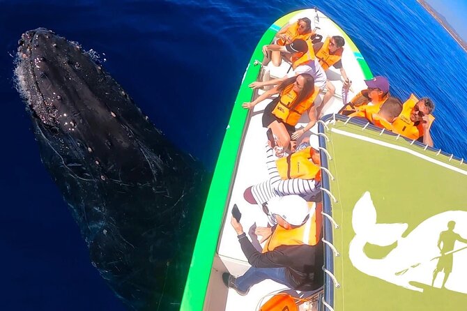 Whale Watching Cabo-Women crew-Sightings Guaranteed & Free Photos - The 20-minute stop at El Arco