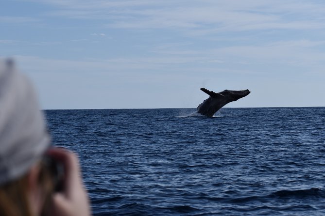 Whale Watching Cabo-Women crew-Sightings Guaranteed & Free Photos - Is $100.15 a fair price?