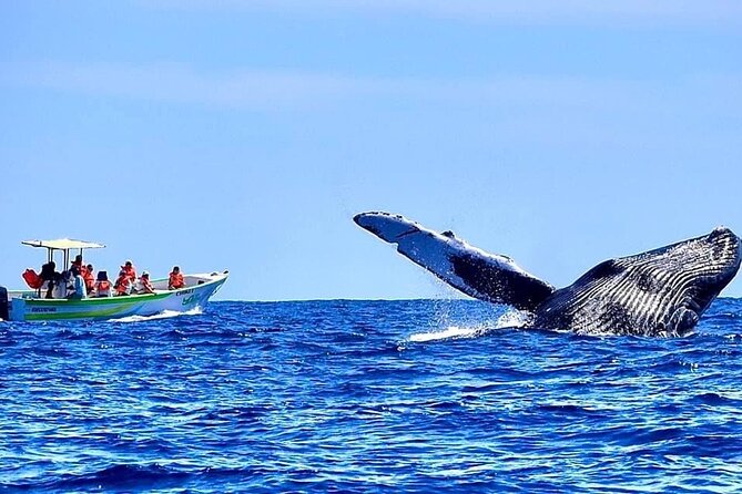 Whale Watching Cabo-Women crew-Sightings Guaranteed & Free Photos - Who will enjoy this outing most