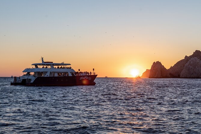 Whale Watching Dinner Cruise in Cabo San Lucas - Sunset timing and the ride back