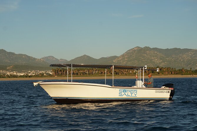 Whale Watching Group Tour in San Jose del Cabo - Setting out from Poblado La Playa