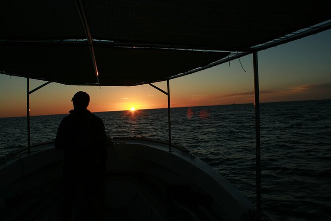 Whale Watching Group Tour in San Jose del Cabo - The hydrophone changes the experience