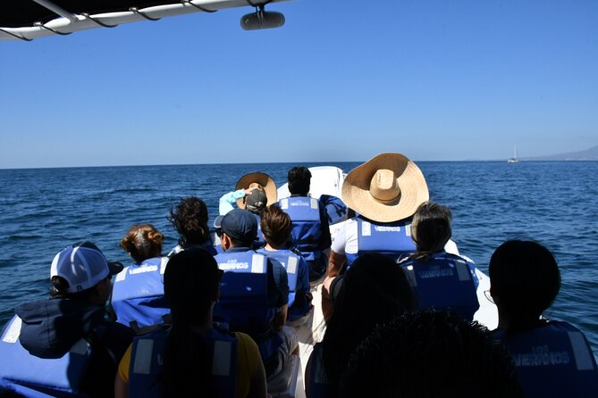 Whale Watching Guaranteed Experience in Puerto Vallarta - Group size, comfort, and the small-boat question