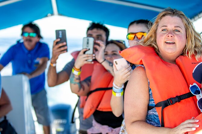 Whale Watching in Cabo San Lucas: Sightseeing Cruise and Shopping - Whale watching from a small glass-bottom boat