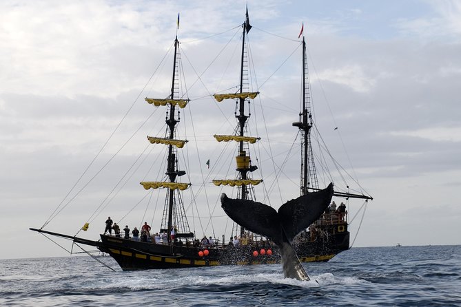 Whale-Watching Pirate Ship Cruise in Los Cabos - Breakfast on a moving pirate ship