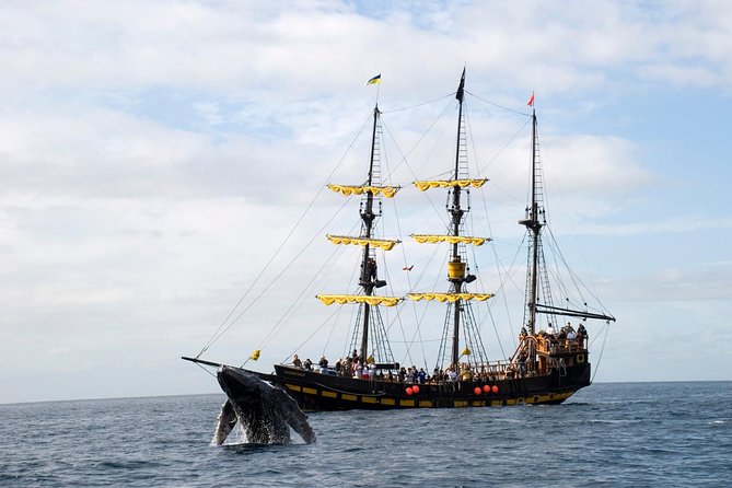 Whale-Watching Pirate Ship Cruise in Los Cabos - The first views: Lover’s Beach, the Arch, and sea lions