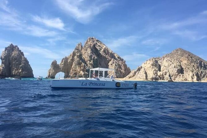 Whale Watching Tour in Los Cabos - Starting at La Princesa in Cabo San Lucas