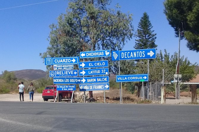wine tours and driver service through valle de guadalupe, Ensenada B.C. Mexico - A private way into Valle de Guadalupe