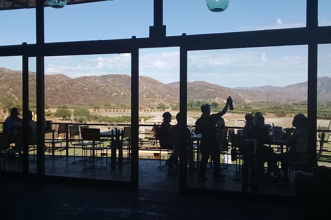 wine tours and driver service through valle de guadalupe, Ensenada B.C. Mexico - What the guides add beyond the driving