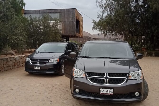 wine tours and driver service through valle de guadalupe, Ensenada B.C. Mexico - Who will enjoy this service most