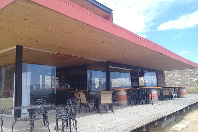 wine tours and driver service through valle de guadalupe, Ensenada B.C. Mexico - Choosing wineries without overplanning