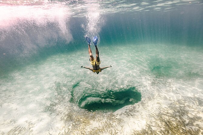 With Turtles, Shipwreck, Cenote, and Reef and Transport Included - Turtle time and the marine life you might see