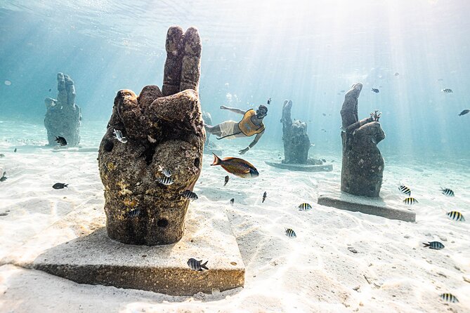 With Turtles, Shipwreck, Cenote, and Reef and Transport Included - Why the guides matter more than the boat