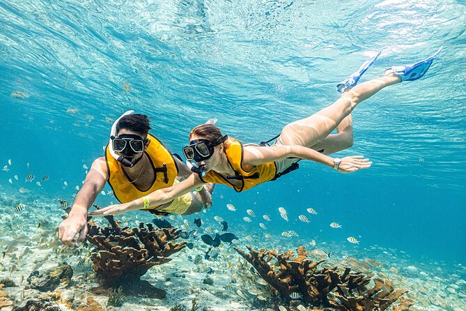 With Turtles, Shipwreck, Cenote, and Reef and Transport Included - What to pack, and what to leave behind