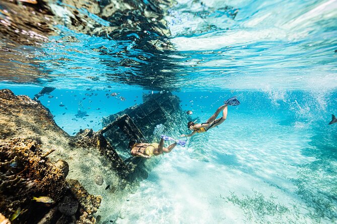 With Turtles, Shipwreck, Cenote, and Reef and Transport Included - Who will enjoy this trip most