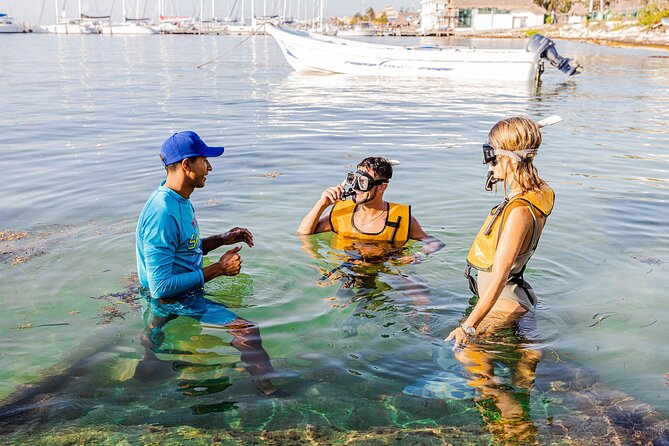 With Turtles, Shipwreck, Cenote, and Reef and Transport Included - The first reef, only five minutes from the marina