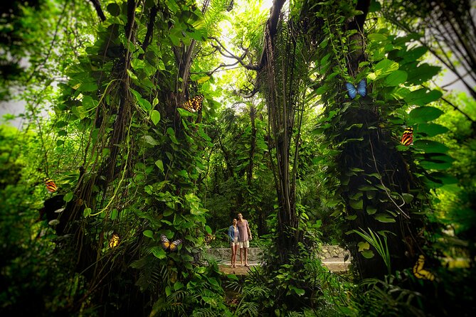 Xcaret Park Day Trip, transportation and Cultural Night Show - Mayan sites and Mexican art add meaning to the park