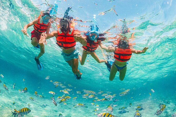 Xcaret Park Day Trip, transportation and Cultural Night Show - Basic admission or Xcaret Plus?