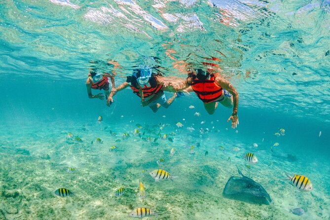 Xcaret Park Entry Tickets with Cultural Night Show Included - Jungle trails and wildlife areas