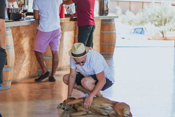 Xecue Wine Tasting in the Guadalupe Valley - Five wines, three reds, one rosé, and one white
